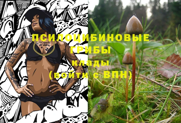 дурь Воткинск