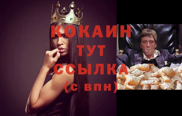 спиды Вуктыл