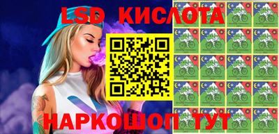индика Гусь-Хрустальный