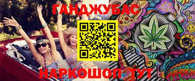 индика Гусь-Хрустальный
