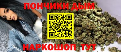 индика Гусь-Хрустальный