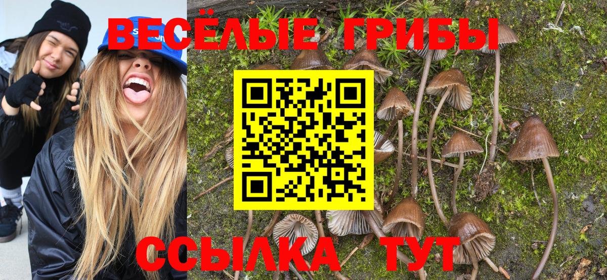 Чита  Галлюциногенные грибы мухоморы  где продают   Вход с VPN 